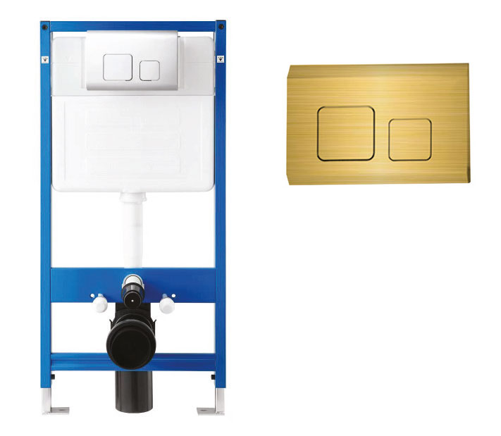 CT202 Dual Flush Plate Brushed Gold