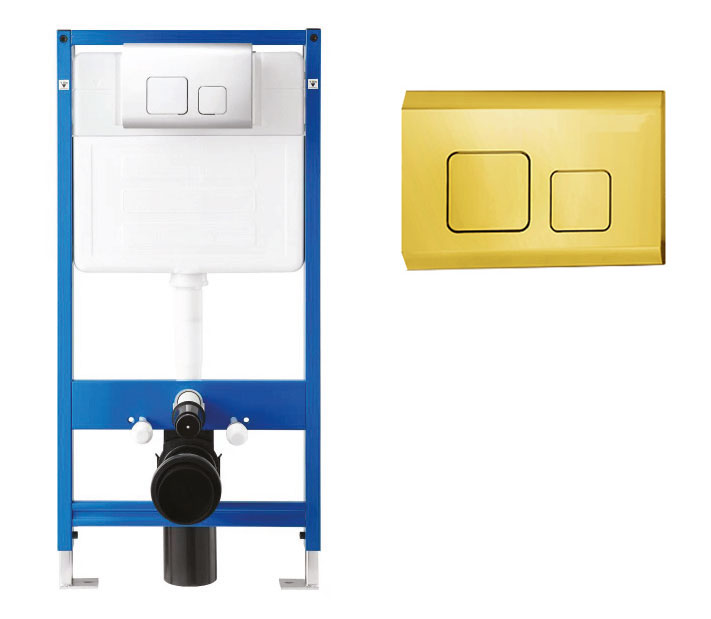 CT202 Dual Flush Plate Shiny Gold