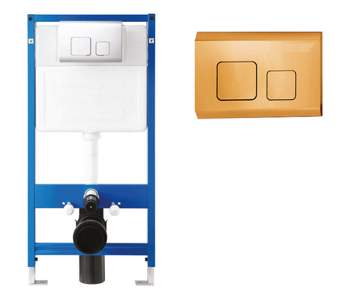 CT202 Dual Flush Plate Brushed Gold