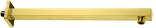 PRM110 Wall Mounted Shower rod Shiny Gold