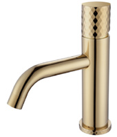 PLZ-101-ORO-image