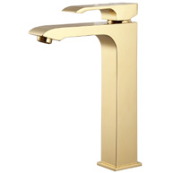 Polished Gold-image